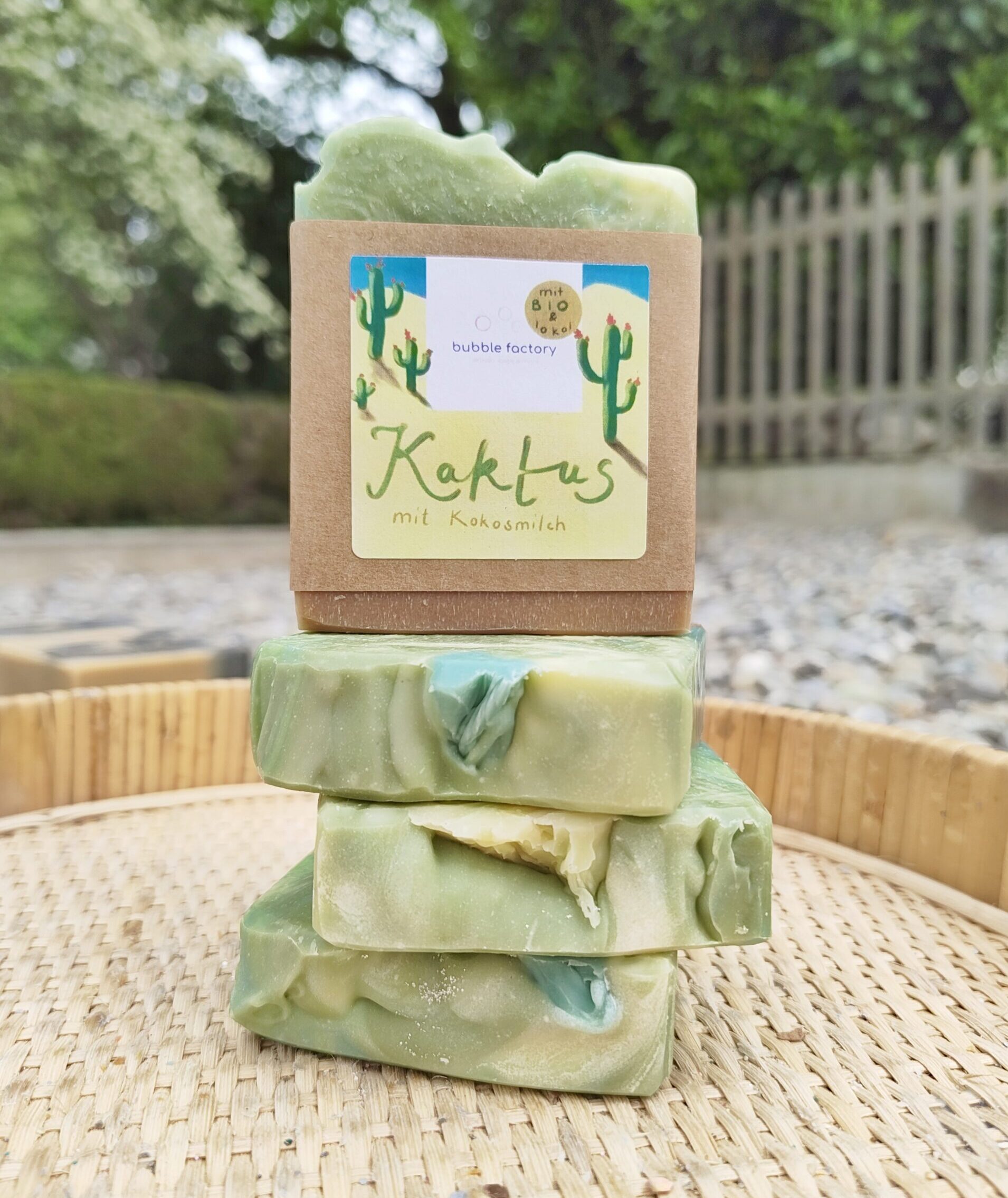 Kaktus